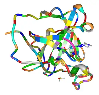 Carbonic anhydrase (ribbon) complex with a sulfonamide inhibitor