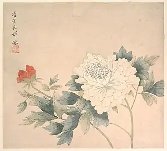 Flower Study (花卉圖), Metropolitan Museum of Art